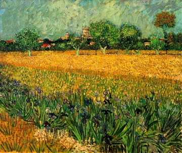 Vista de Arles con lirios en primer plano Vincent van Gogh Pinturas al óleo